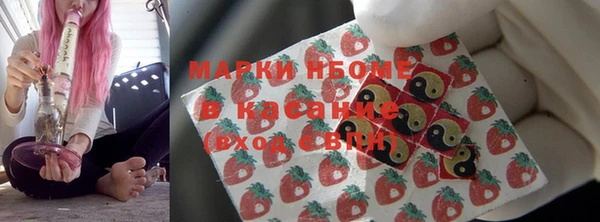 гидра Володарск