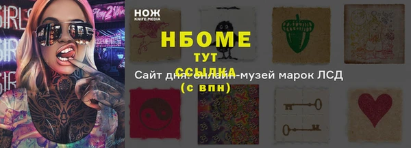 ГАЛЛЮЦИНОГЕННЫЕ ГРИБЫ Вяземский