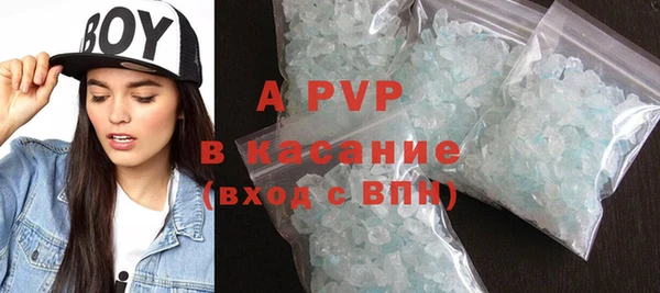 гидра Володарск